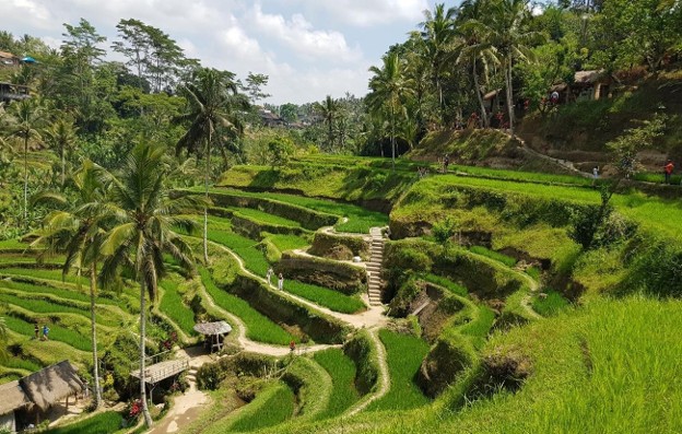 bali lombok tour package