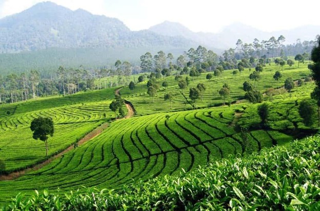 jakarta puncak bandung tour