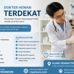 Tips Memilih Klinik Hewan Terpercaya