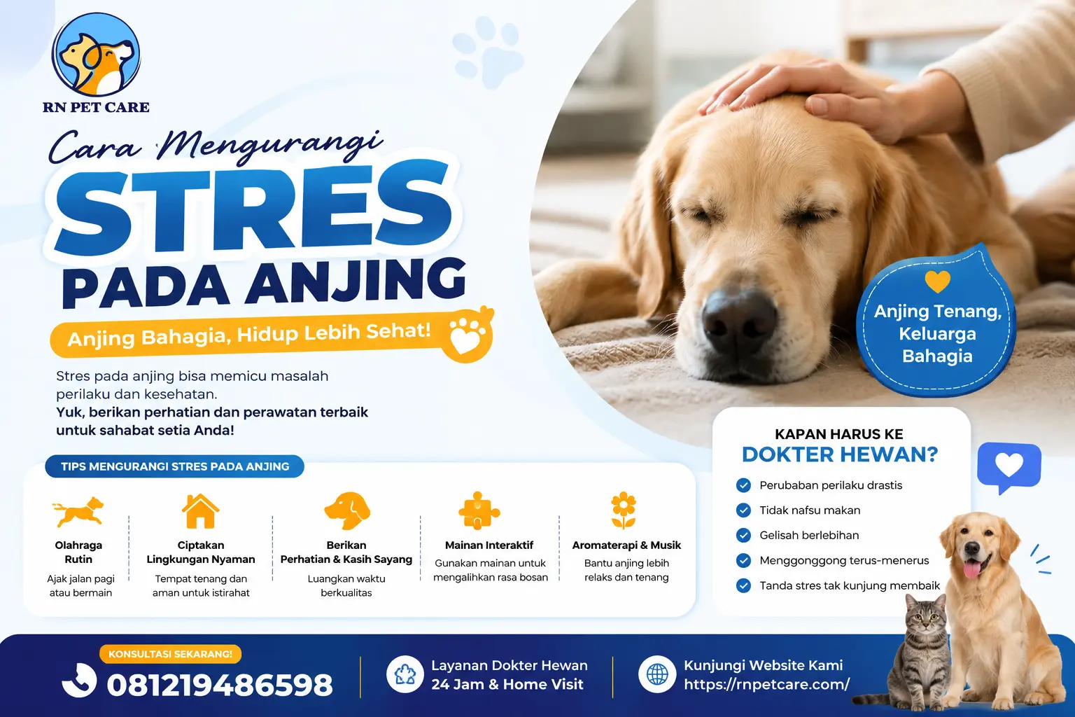 Cara Mengurangi Stres pada Anjing
