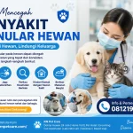 Cara Mencegah Penyakit Menular Hewan