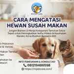 Cara Mengatasi Hewan Susah Makan