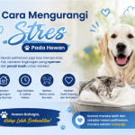 Cara Mengurangi Stres pada Hewan