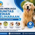 Cara Menjaga Imunitas Hewan Peliharaan