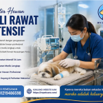 Dokter Hewan Ahli Rawat Intensif