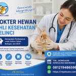 Dokter Hewan Ahli Kesehatan Kelinci