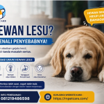 Hewan Lesu Kenali Penyebabnya