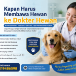 Kapan Harus Membawa Hewan ke Dokter Hewan
