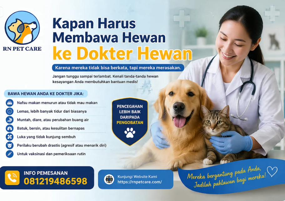 Kapan Harus Membawa Hewan ke Dokter Hewan