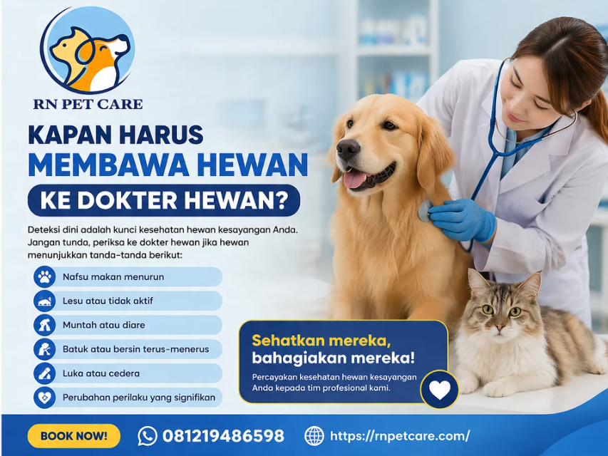 Kapan Harus Membawa Hewan ke Dokter Hewan