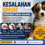 Kesalahan Umum Merawat Anak Anjing