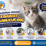 Kesalahan Umum Merawat Anak Kucing
