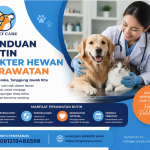 Panduan Rutin Dokter Hewan Perawatan