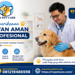 Pemeriksaan Hewan Aman dan Profesional