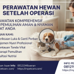 Perawatan Hewan Setelah Operasi