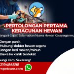 Pertolongan Pertama Keracunan Hewan