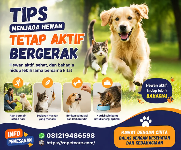 Tips Menjaga Hewan Tetap Aktif Bergerak