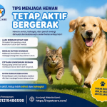 Tips Menjaga Hewan Tetap Aktif Bergerak