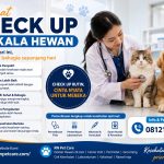 Manfaat Check Up Berkala Hewan
