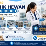 Fasilitas Klinik Hewan yang Ideal