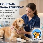 Dokter Hewan Siap Siaga Terdekat
