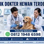 Klinik Dokter Hewan Terdekat 24 Jam RN Pet Care dengan layanan dokter hewan profesional, laboratorium lengkap, rawat inap, grooming, dan operasi hewan.