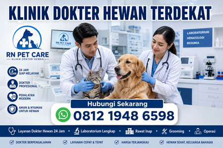 Klinik Dokter Hewan Terdekat 24 Jam RN Pet Care dengan layanan dokter hewan profesional, laboratorium lengkap, rawat inap, grooming, dan operasi hewan.