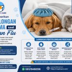 Cara Memberikan Pertolongan Pertama saat Hewan Flu
