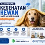 Cara Menjaga Kesehatan Hewan Saat Musim Hujan