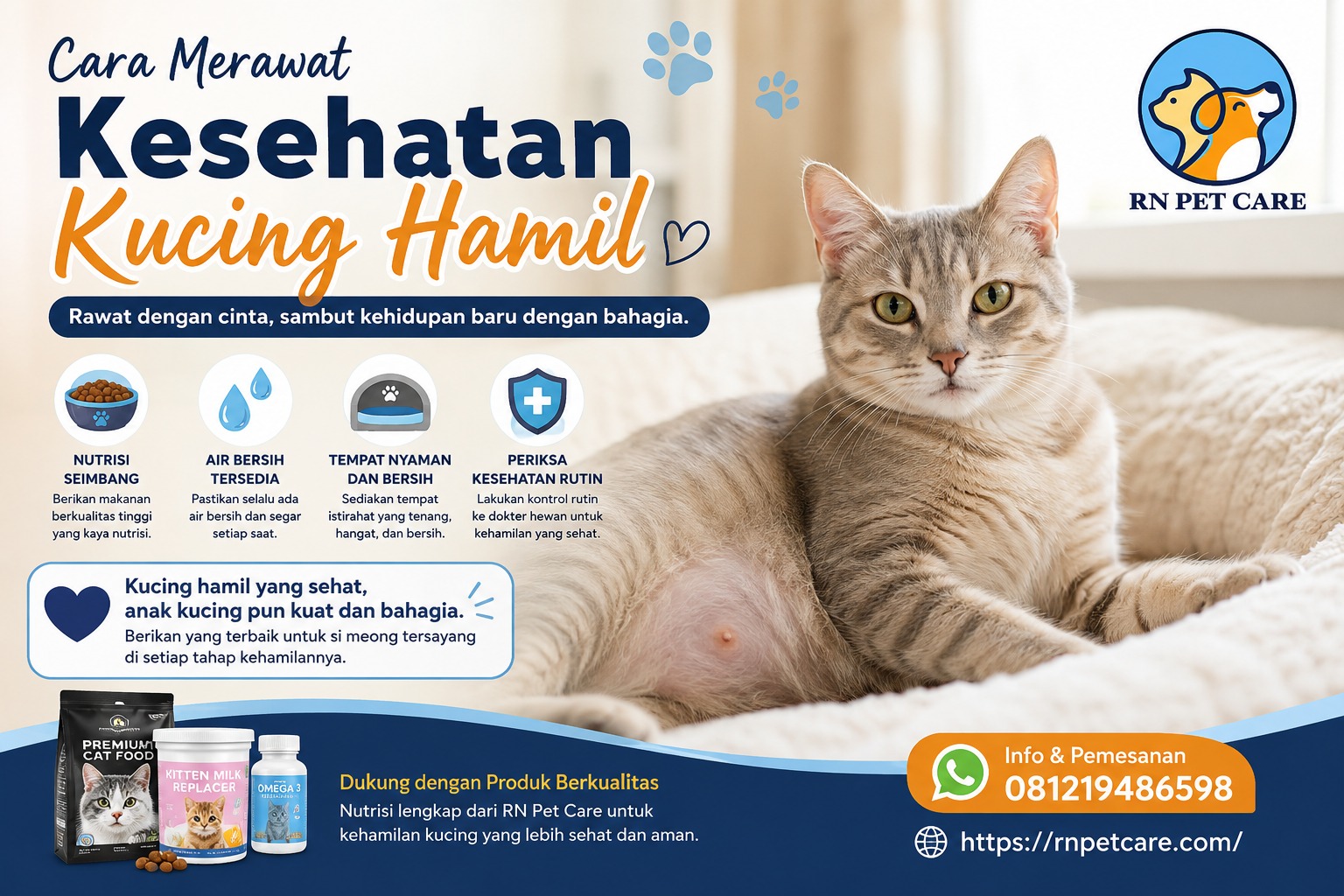 Cara Merawat Kesehatan Kucing Hamil