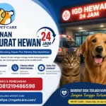 Layanan Darurat Hewan 24jam