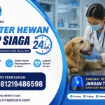 Dokter Hewan Siap Siaga 24jam