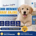 Panduan Cara Merawat Anak Anjing