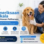 Pemeriksaan Berkala Untuk Hewan Peliharaan