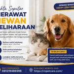 Fakta Seputar Merawat Hewan Peliharaan