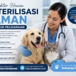Dokter Hewan Sterilisasi Aman Untuk Peliharaan