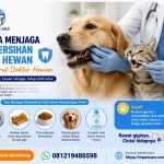 Cara Menjaga Kebersihan Gigi Hewan Menurut Dokter Hewan
