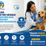 Peran Dokter Hewan dalam Menjaga Kesehatan Hewan Peliharaan