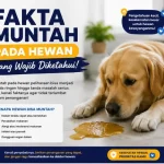 Fakta Muntah pada Hewan yang Wajib Diketahui