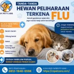 Tanda Tanda Hewan Peliharaan Terkena Flu