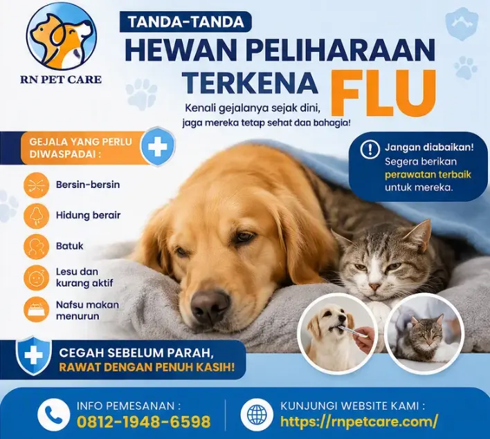 Tanda Tanda Hewan Peliharaan Terkena Flu