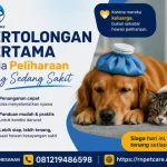Pertolongan Pertama Pada Peliharaan Yang Sedang Sakit
