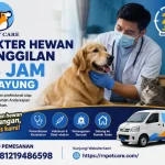 Dokter Hewan Panggilan 24 jam Cipayung