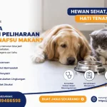Kenapa Hewan Peliharaan Tidak Nafsu Makan