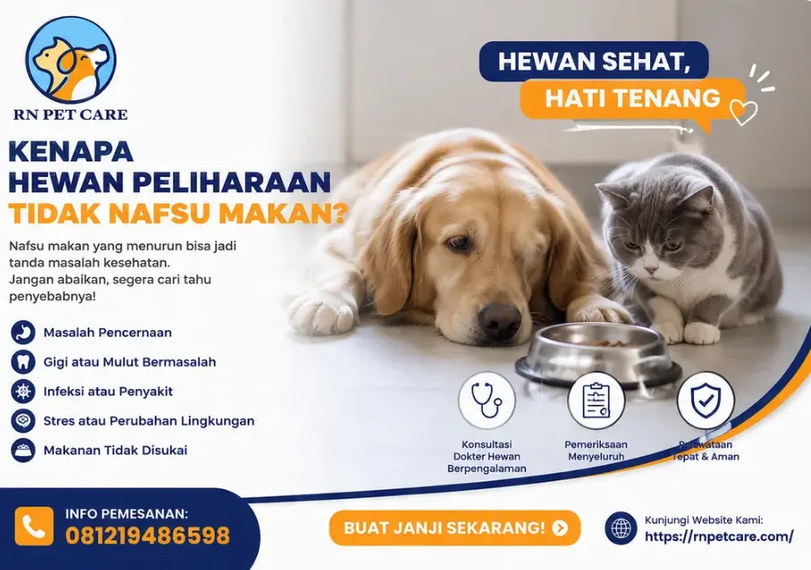 Kenapa Hewan Peliharaan Tidak Nafsu Makan