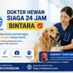 Dokter Hewan Siaga 24 jam Bintara