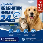 Layanan Kesehatan 24 Jam