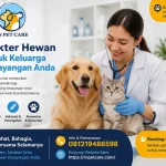 Dokter Hewan untuk Kucing dan Anjing