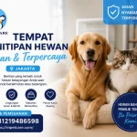 Tempat penitipan hewan aman Jakarta, penitipan hewan terpercaya Jakarta, pet hotel aman Jakarta, tempat penitipan kucing Jakarta, tempat penitipan anjing Jakarta, penitipan kucing terpercaya Jakarta, penitipan anjing terpercaya Jakarta, jasa penitipan hewan Jakarta, pet boarding Jakarta aman, pet hotel kucing Jakarta, pet hotel anjing Jakarta, penitipan hewan 24 jam Jakarta, tempat titip hewan Jakarta, penitipan hewan dengan dokter hewan Jakarta, pet hotel dengan perawatan medis Jakarta, tempat penitipan hewan nyaman Jakarta, penitipan hewan profesional Jakarta, penitipan hewan dekat Jakarta, tempat boarding hewan Jakarta, rekomendasi penitipan hewan Jakarta