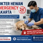 Dokter hewan emergency Jakarta 24 jam